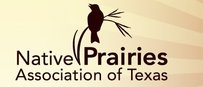 Native Texas Prairies